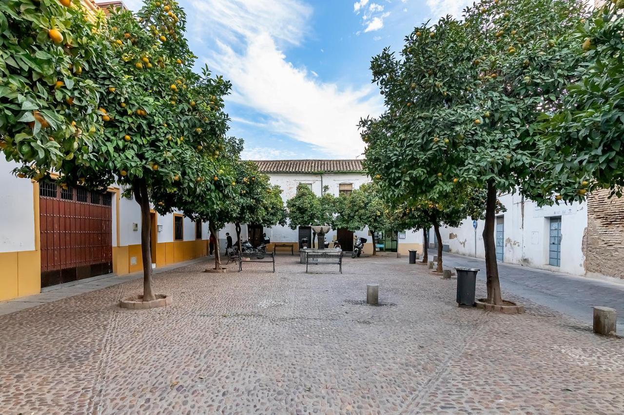 Bhost - Regina IV Daire Cordoba Dış mekan fotoğraf